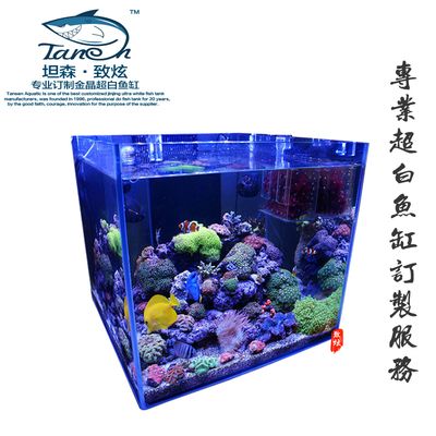 龍魚缸改海水缸好不好：龍魚缸改海水缸的過程