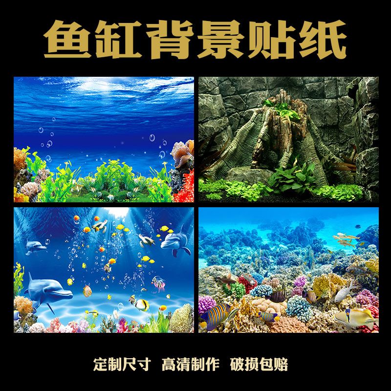 養(yǎng)紅龍魚魚缸背景顏色要求是多少：養(yǎng)紅龍魚時選擇黑色或藍(lán)色作為魚缸背景顏色是最佳實踐