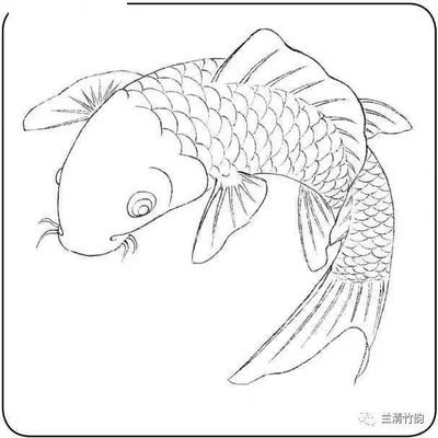 龍魚的畫怎樣畫的：龍魚畫法教程：不同的龍魚畫法教程，供您參考和學習 龍魚百科 第2張