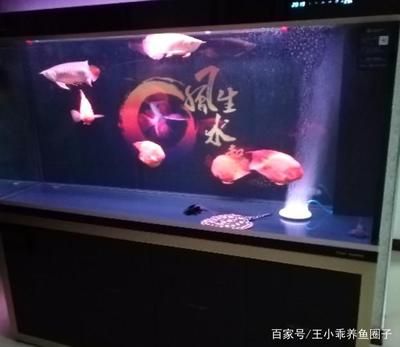 紅龍魚對(duì)魚缸的要求是什么：紅龍魚對(duì)魚缸的要求