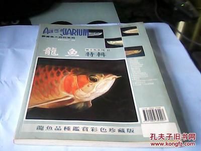 龍魚百科全書免費閱讀：關(guān)于龍魚的各種知識