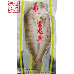 龍魚怎么處理魚鱗：處理龍魚魚鱗的幾種方法 龍魚百科 第2張