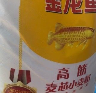 賣(mài)金龍魚(yú)好嗎值得買(mǎi)嗎現(xiàn)在：賣(mài)金龍魚(yú)好嗎值得買(mǎi)嗎