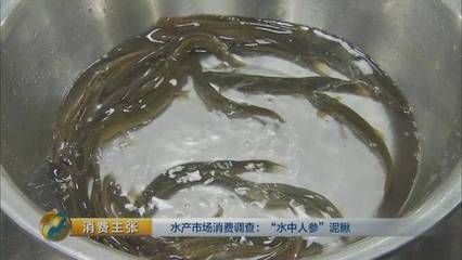 喂龍魚凍泥鰍應(yīng)該怎么處理：喂食龍魚凍泥鰍需要經(jīng)過一系列的處理步驟以確保泥鰍的安全性和衛(wèi)生性 龍魚百科 第1張