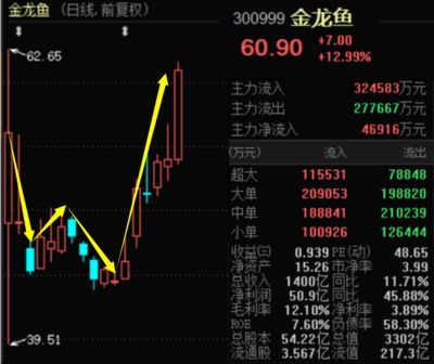 金龍魚股今日行情：金龍魚股今日行情2024年4月30日收盤價為31.40元