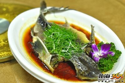 龍魚肉質(zhì)：龍魚的營養(yǎng)豐富，含有高質(zhì)量的蛋白質(zhì)，且刺少 龍魚百科 第3張