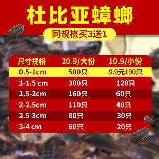 龍魚在哪里買便宜：如何購買龍魚