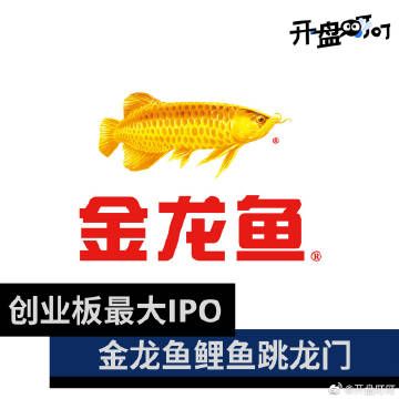 金龍魚(yú)成功上市：金龍魚(yú)ipo獲批