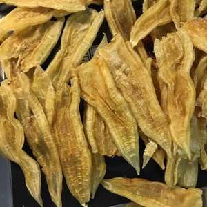 金龍魚魚膠膠質(zhì)怎么樣：金龍魚魚膠的膠質(zhì)含量豐富且質(zhì)地優(yōu)良，是滋補(bǔ)身體的佳品