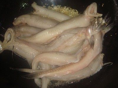 龍魚(yú)須的烹飪方法：龍魚(yú)須是一種特殊的食材，它的烹飪方法與其他魚(yú)類的須有所不同 龍魚(yú)百科