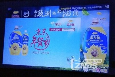 金龍魚長期不開燈會(huì)對(duì)它的健康、顏色和行為模式產(chǎn)生影響：金龍魚長期不開燈會(huì)對(duì)其健康、顏色和行為模式產(chǎn)生影響 龍魚百科 第1張