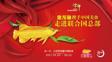 ]中提到1000萬(wàn)的金龍魚(yú)價(jià)格因種類(lèi)和品質(zhì)而異：1000萬(wàn)的金龍魚(yú)價(jià)格是多少？ 龍魚(yú)百科 第1張