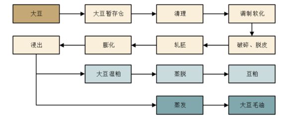 金龍魚脫皮怎么辦：金龍魚頭部脫皮怎么辦金龍魚頭部脫皮怎么辦 龍魚百科 第3張