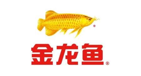 金龍魚的市場價格高達18萬元人民幣：1.5公斤的金龍魚可以賣到18萬元人民幣，每克單價120元 龍魚百科 第2張