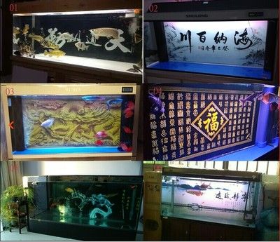 龍魚之家店的員工情況如何？：關(guān)于龍魚之家店員工的一些情況