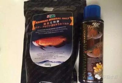 龍魚維生素的使用方法：關(guān)于龍魚維生素的使用 龍魚百科