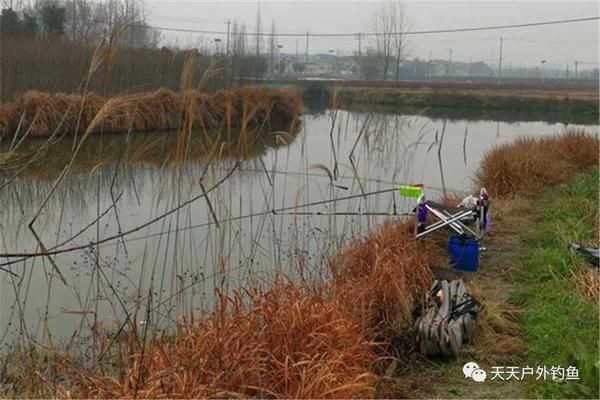 白龍魚白龍魚垂釣的最佳天氣因季節(jié)而異，適合夏季釣魚：白龍魚垂釣的最佳天氣 龍魚百科 第3張