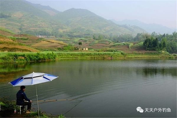 白龍魚白龍魚垂釣的最佳天氣因季節(jié)而異，適合夏季釣魚：白龍魚垂釣的最佳天氣 龍魚百科 第2張