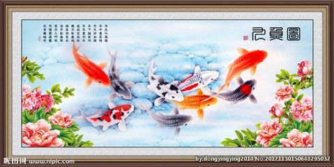 九龍魚的寓意是什么：九龍魚并不是一個具體的魚種類而是對多種魚的統(tǒng)稱 龍魚百科 第3張