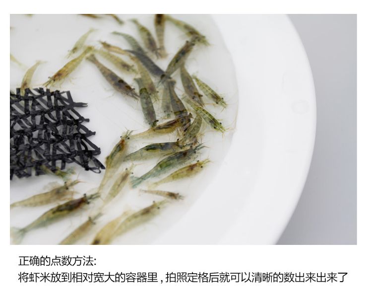 龍魚可以吃蝦米嗎？：龍魚可以吃蝦米嗎有營養(yǎng)嗎龍魚可以吃蝦米嗎有營養(yǎng)嗎 龍魚百科 第2張