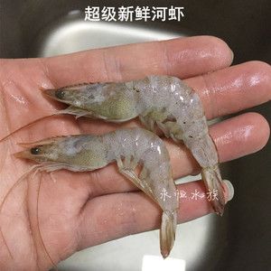 龍魚(yú)吃的蝦和人類吃的蝦一樣嗎？：龍魚(yú)吃的蝦和人類吃的蝦一樣嗎龍魚(yú)吃的蝦和人類吃的蝦一樣嗎 龍魚(yú)百科 第3張