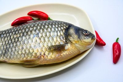 淡水龍魚怎么做好吃淡水龍魚的幾種常見做法：淡水龍魚怎么做好吃淡水龍魚怎么做好吃 龍魚百科 第2張