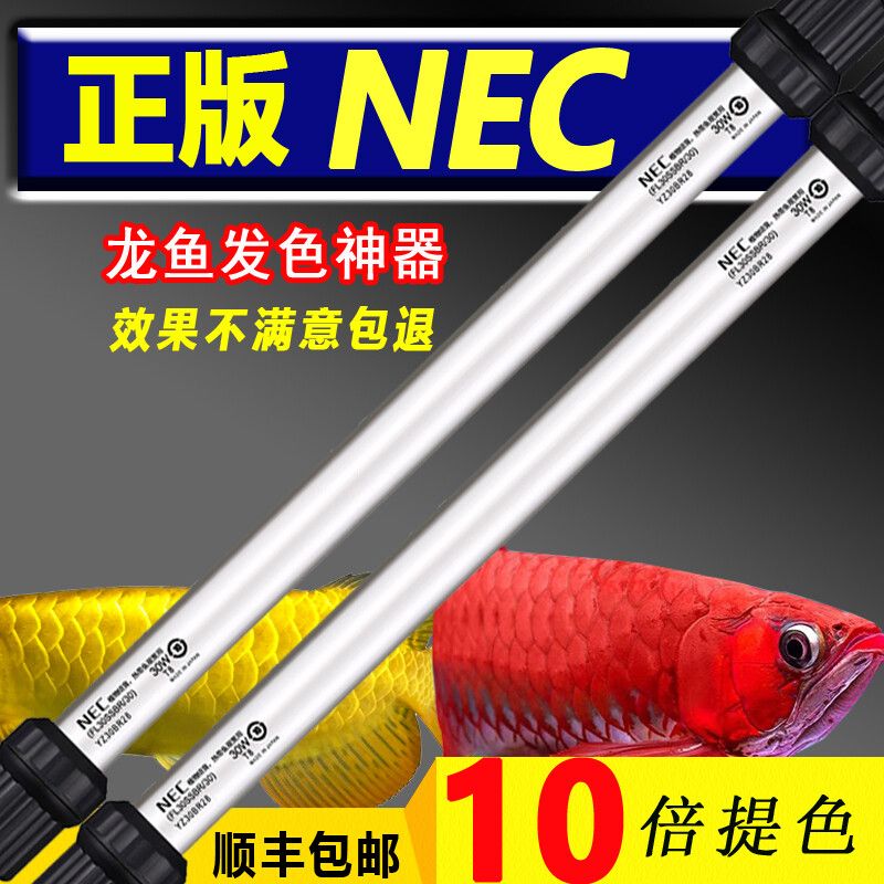 紅龍魚缸燈最佳擺放方案是結合使用潛水燈、支架燈、頂燈和水中燈：紅龍魚缸燈最佳擺放建議