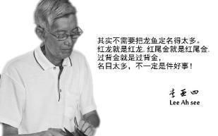 李亞四金龍魚的爬背時間和過程與過程與其他品種的金龍魚有所不同：李亞四金龍魚爬背時間和過程與其他品種的金龍魚有所不同 龍魚百科