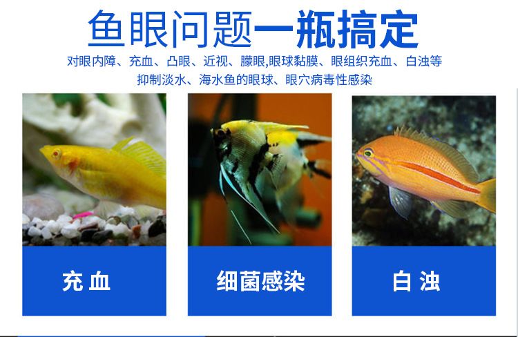 預(yù)防龍魚吊眼病的發(fā)生，如何預(yù)防龍魚吊眼病的發(fā)生呢：如何預(yù)防龍魚吊眼病 龍魚百科 第1張