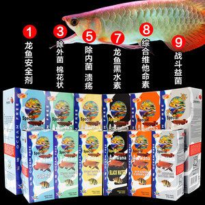 龍魚5號(hào)藥水能治療龍魚嗎：龍魚5號(hào)藥水是一種專門針對(duì)龍魚的藥品，可以增強(qiáng)龍魚體質(zhì)