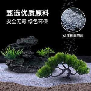 金龍魚缸可以養(yǎng)水草嗎，：金龍魚缸可以養(yǎng)水草嗎金龍魚缸可以養(yǎng)水草嗎