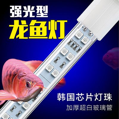 龍魚使用加熱棒需要注意以下幾點：龍魚使用加熱棒時需要注意以下幾點 龍魚百科 第2張