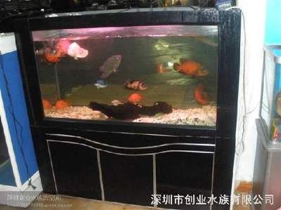 龍魚水質(zhì)ph跌酸到5.0怎么辦龍魚水質(zhì)ph跌酸到5.0怎么辦