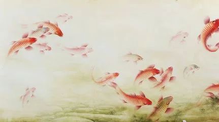 龍魚(yú)的歷史及種類：龍魚(yú)作為一種具有悠久歷史和獨(dú)特外貌的大型淡水魚(yú)