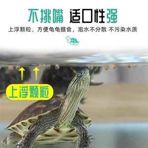 龍魚吃龜糧會(huì)有影響嗎？：龍魚可以吃龜糧嗎