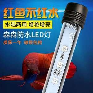 龍魚燈管的擺放位置對(duì)龍魚的生長和健康有著重要影響：龍魚燈管應(yīng)該放在哪個(gè)位置 龍魚百科 第1張