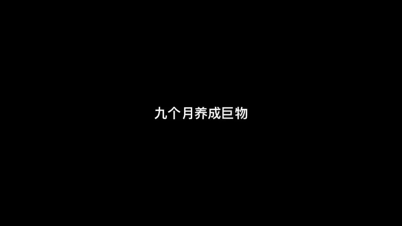 金雞暢天下評論：現(xiàn)在大概有多大的：九個月，金雞暢天下 觀賞魚論壇