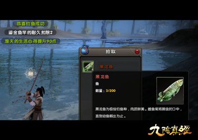 龍魚工坊魚竿怎么樣龍魚工坊魚竿質(zhì)量、銷售情況和品牌影響力：“龍魚工坊魚竿怎么樣”