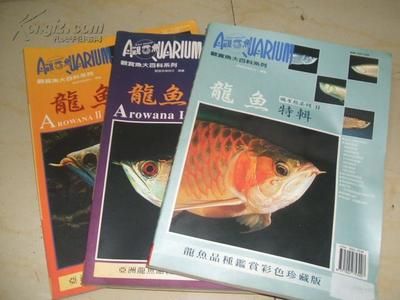 《觀賞魚養(yǎng)殖與鑒賞系列龍魚》百度云網(wǎng)盤下載地址：《觀賞魚養(yǎng)殖與鑒賞系列龍魚》電子書下載 龍魚百科 第2張