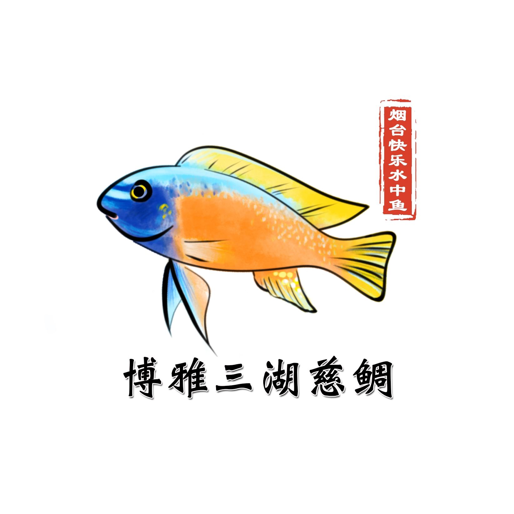 記錄這一刻，煙臺快樂水中魚博雅三湖慈鯛評論：新氣象：新頭像新氣象，玩魚也要玩出文化底蘊 觀賞魚論壇 第1張