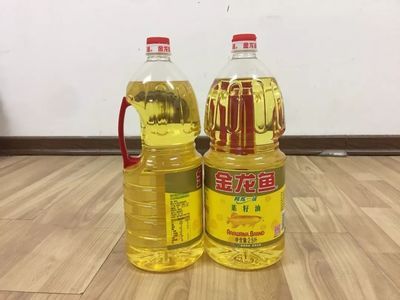 金龍魚生活在適宜的環(huán)境中，金龍魚水溫低會怎么樣：金龍魚水溫低于20℃，飼養(yǎng)者應采取以下措施，金龍魚水溫低于[需手動填充] 龍魚百科 第2張