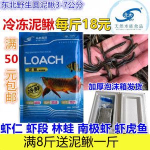 冷凍紅蟲龍魚可以吃嗎？：冷凍紅蟲可以吃嗎怎么喂 龍魚百科 第1張