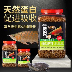 龍魚能吃面包蟲嗎，：龍魚可以吃面包蟲嗎