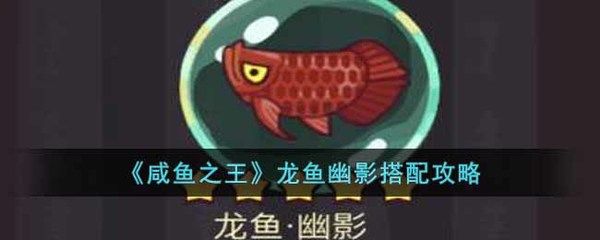 龍魚的戰(zhàn)斗力排行：龍魚在觀賞魚中的戰(zhàn)斗力排行 龍魚百科 第3張