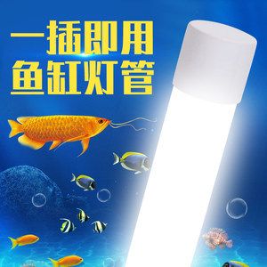 金龍魚側(cè)燈放水里好還是外面好，放水里好還是外面放水里好：金龍魚側(cè)燈放在水里好還是外面好