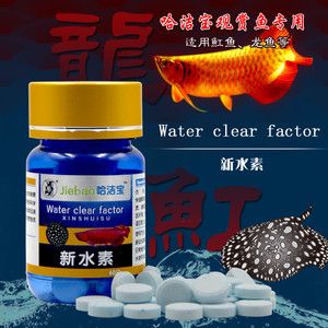 龍魚驅(qū)蟲用什么藥最好用，：龍魚驅(qū)蟲用什么藥最好用龍魚驅(qū)蟲用什么藥最好用