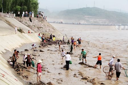 野外雷龍魚的食物習(xí)性及安全性：野外雷龍魚的食物習(xí)性 龍魚百科