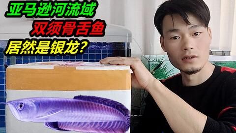 龍魚開箱的注意事項：\