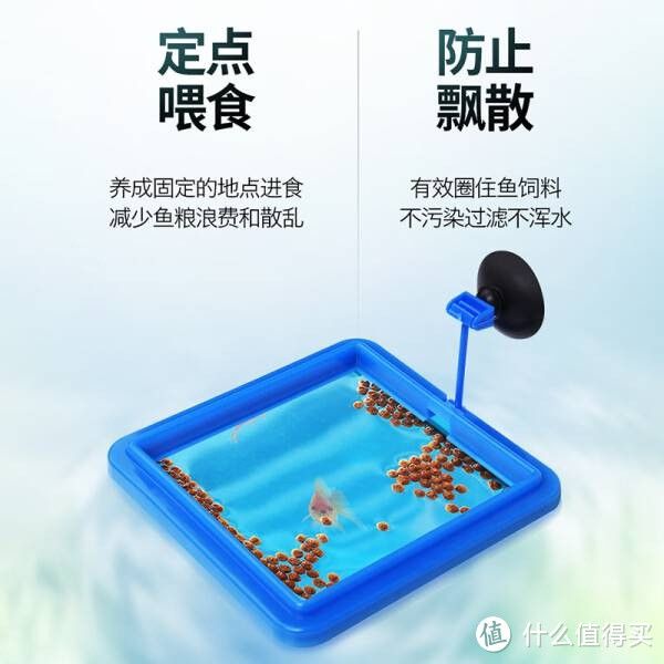 虎門水族館探秘虎門水族館探秘虎門魚缸定制的藝術：東莞市虎門慕華五金配件 虎魚百科 第2張