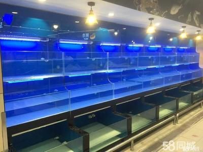 虎門水族文化探秘虎門水族文化探秘虎門水族文化探秘：虎門地區(qū)幾個(gè)可能售賣的魚缸 虎魚百科 第1張